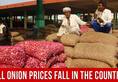 Government offers Imported Onions to States at Rs. 49 to 58 per kg