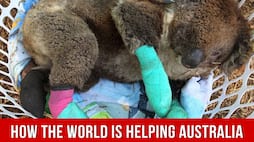 How the world is helping Australia