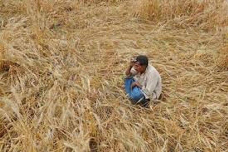 farmers  sucide in tamilnadu