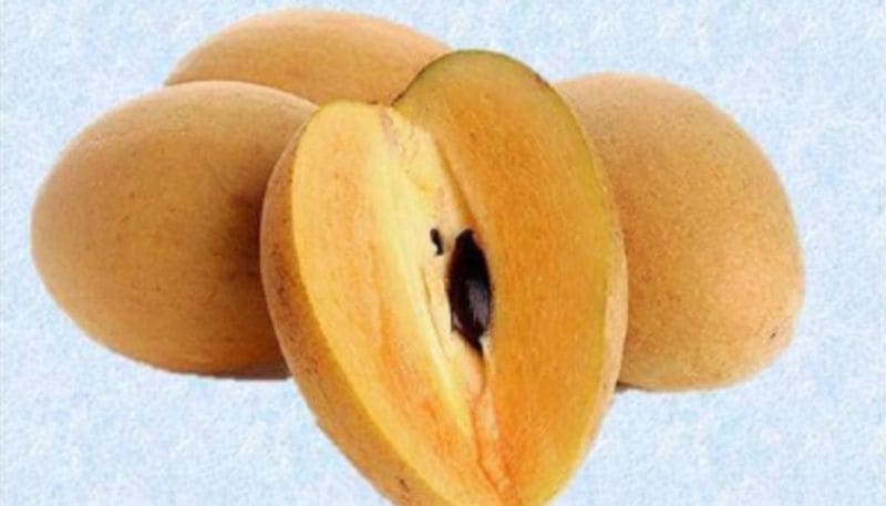 সবেদায় প্রদাহ বিরোধী উপাদান রয়েছে যা ক্ষয়কারক গ্যাস্ট্রিক, আন্ত্রিক প্রদাহ, পেট জ্বালা ইত্যাদি রোগের থেকে বাঁচাতে সাহায্য করে।আধাপাকা সবেদা জলে ফুটিয়ে তার থেকে কস বার করে খেলে ডায়ারিয়া থেকে মুক্তি পাওয়া যায়।