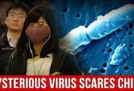 Outbreak of a mysterious virus in China stirs panic