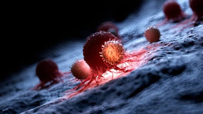 Synthetic Tissue can repair heart, muscle and vocal cord Synthetic Tissue can repair heart, muscle and vocal cord