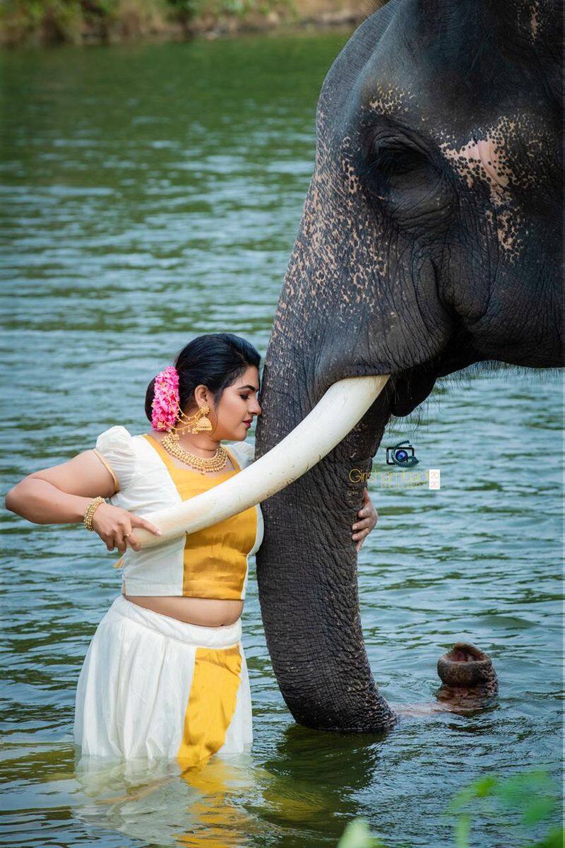 photographer talks about viral photoshoot with elephant