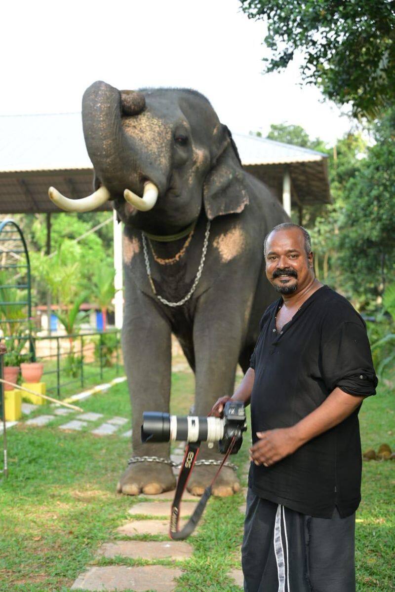 photographer talks about viral photoshoot with elephant