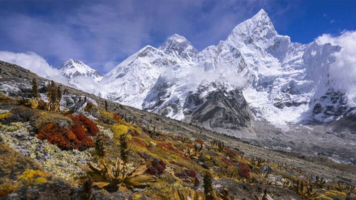 grass growing around Everest due to climate change grass growing around Everest due to climate change