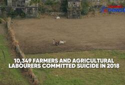 10,349 Farmers Committed Suicides In 2018 In India