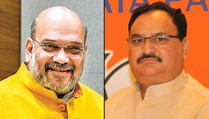 BJP to make JP Nadda partys national president ahead of Delhi Assembly election