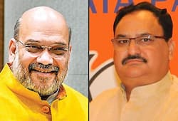BJP to make JP Nadda partys national president ahead of Delhi Assembly election