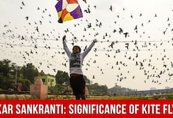 makar sankranti history significance kite flying festival