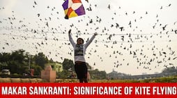makar sankranti history significance kite flying festival
