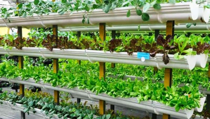 vertical farming benefits