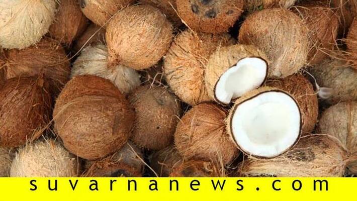 Coconut Price Hike in Karwar Market Coconut Price Hike in Karwar Market