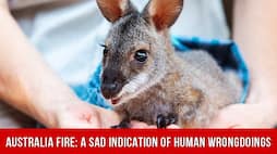 We humans are responsible for Australia fire