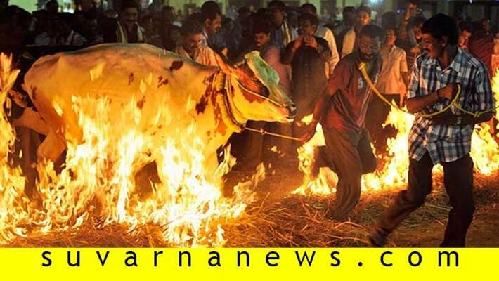 Makara Sankrati this is the way celebrated in across India Makara Sankrati this is the way celebrated in across India