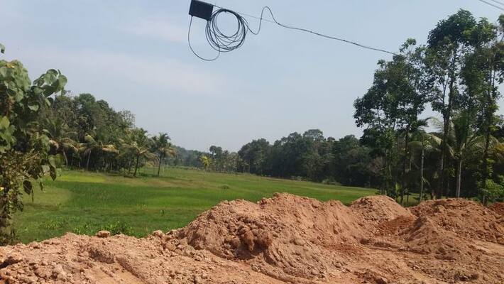 paddy land filling government official not taking any action paddy land filling government official not taking any action