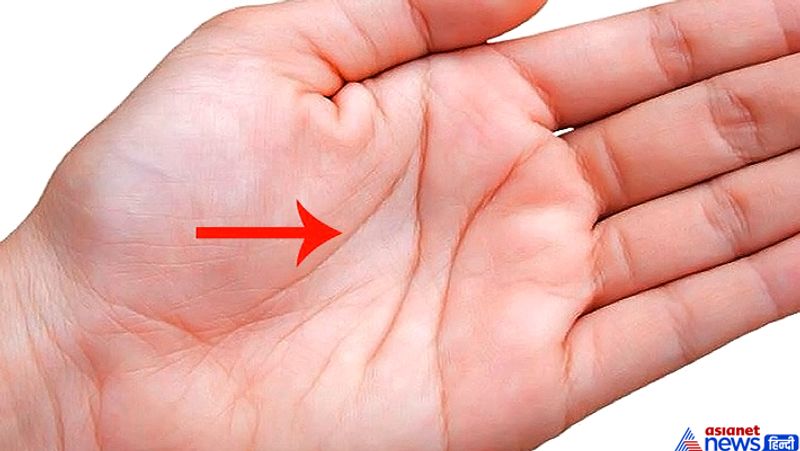 This palm line indicates that you become a millionaire according to palmistry BDD