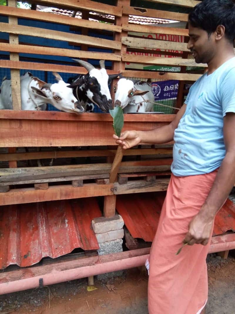 Learn the techniques of organized goat farming from Rajiv