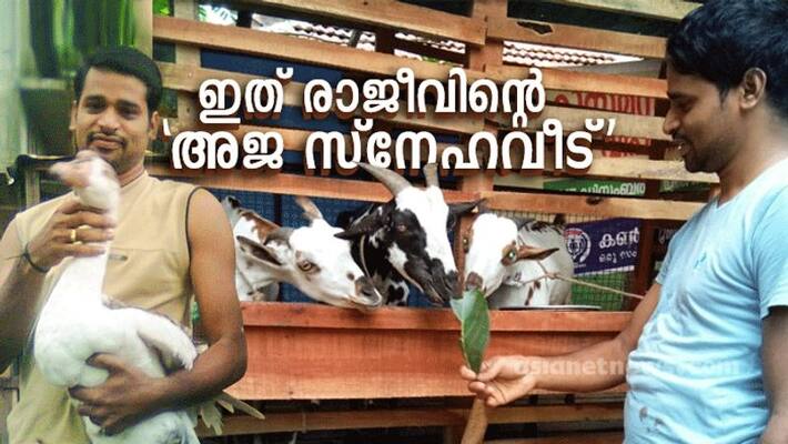 Learn the techniques of organized goat farming from Rajiv Learn the techniques of organized goat farming from Rajiv