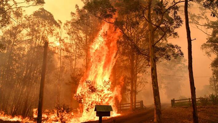 Rainfall in fire-ravaged Australia Rainfall in fire-ravaged Australia