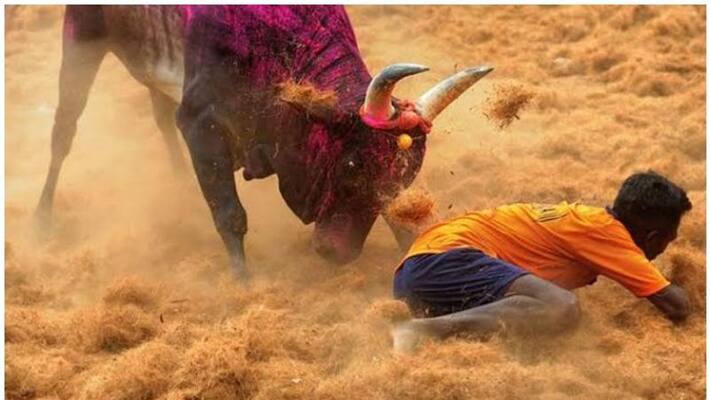 one death at jallikattu accident in trichy one death at jallikattu accident in trichy