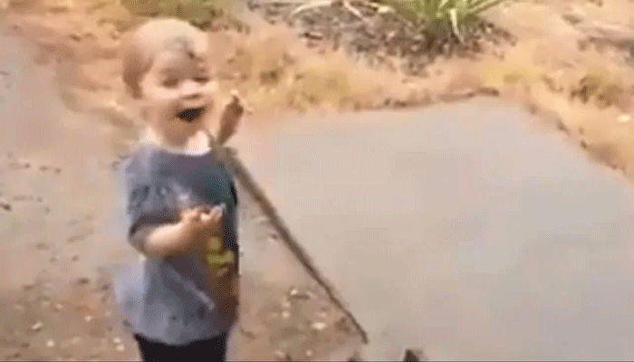 In Fire-Stricken Australia, Toddler Dances On Seeing Rain For First Time In Fire-Stricken Australia, Toddler Dances On Seeing Rain For First Time