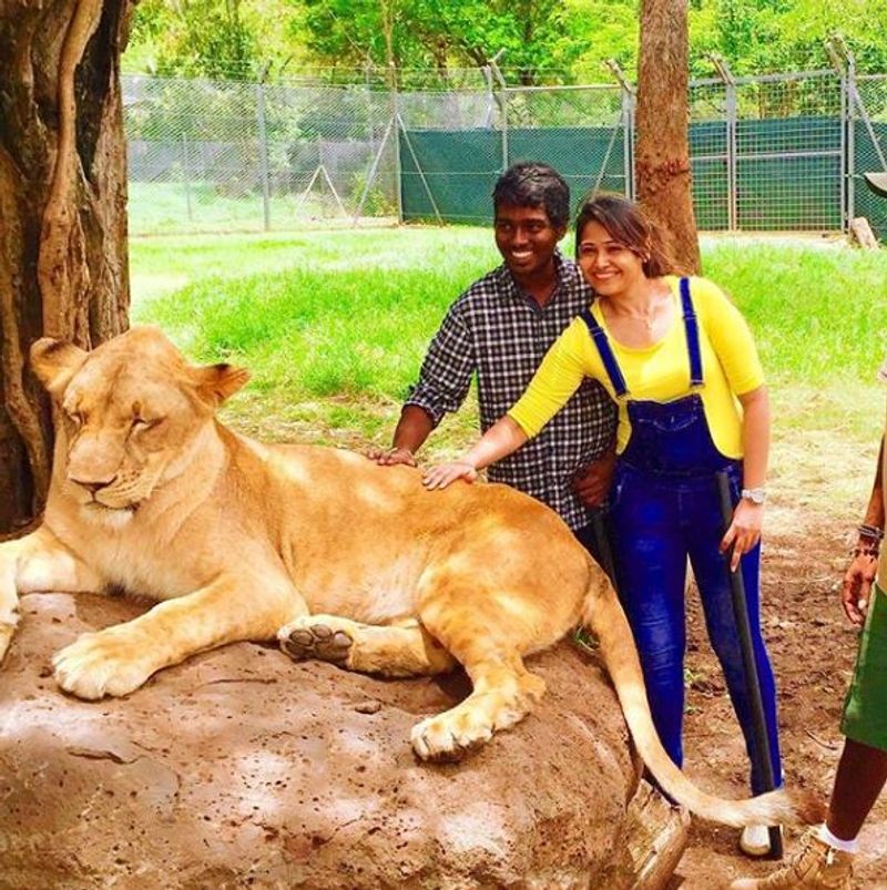 Tollywood Director Atlee and Priya Love story will met your heart Photo gallery
