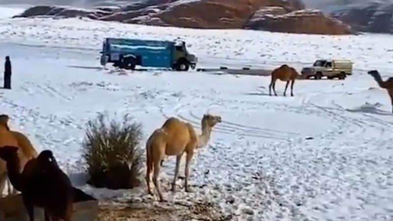 Old images of snowfall in Saudi arab goes viral again kph