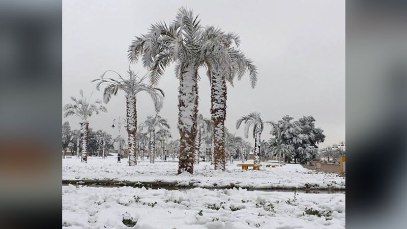 Old images of snowfall in Saudi arab goes viral again kph