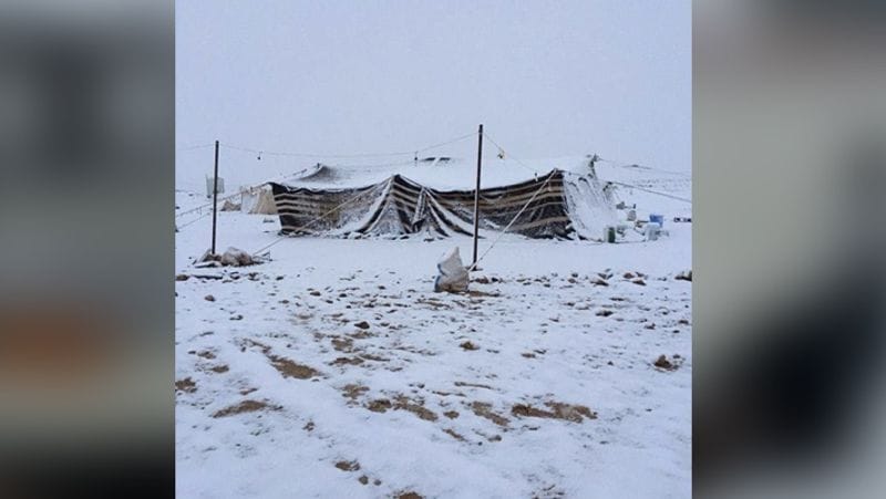 Old images of snowfall in Saudi arab goes viral again kph