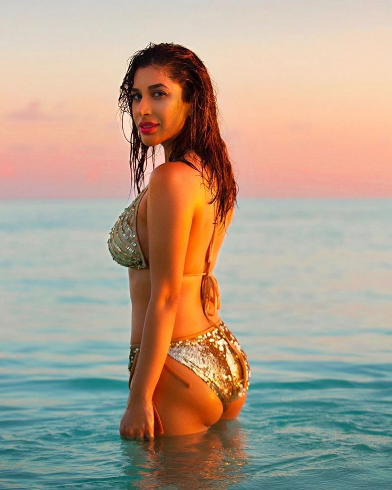 mahesh 1 nenokkadine item girl sophia bikini pics