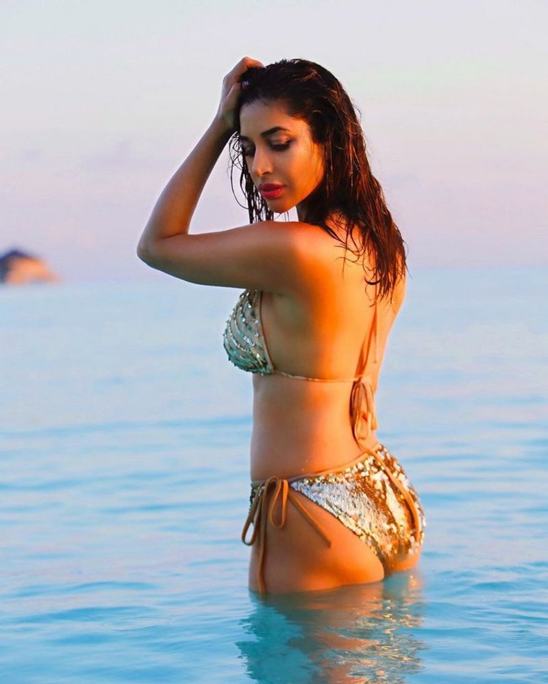 mahesh 1 nenokkadine item girl sophia bikini pics