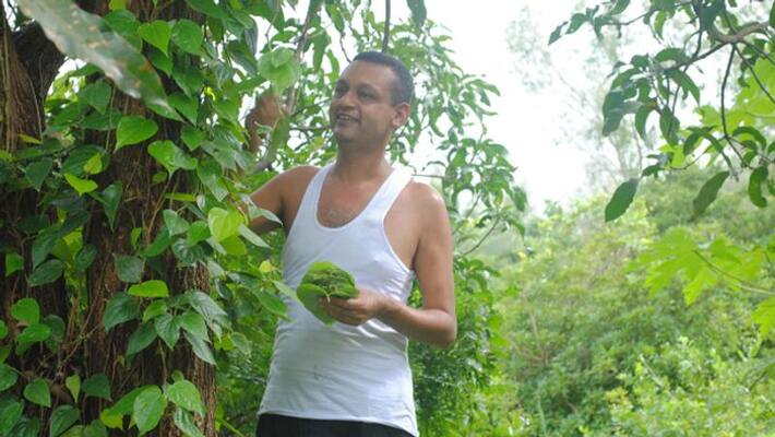 techie turned farmer and embrace organic farming techie turned farmer and embrace organic farming