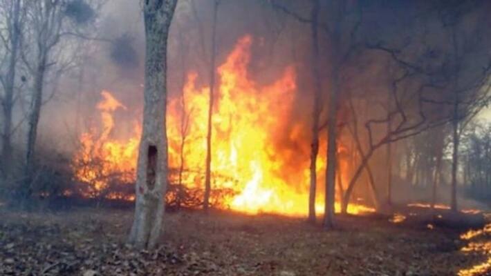 wildfire in pathanamthitta forest area wildfire in pathanamthitta forest area