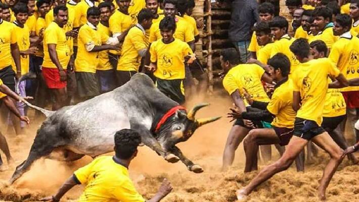 two were died in Jallikattu Tamil Nadu two were died in Jallikattu Tamil Nadu