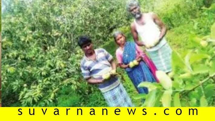 story of alcoholic youth who changed as a successful farmer in chamarajnagar story of alcoholic youth who changed as a successful farmer in chamarajnagar
