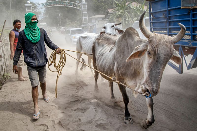 philippines taal vlovano eruptions photo story