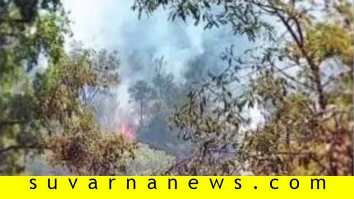 fire in chamarajnagar Cauvery Wildlife Sanctuary fire in chamarajnagar Cauvery Wildlife Sanctuary