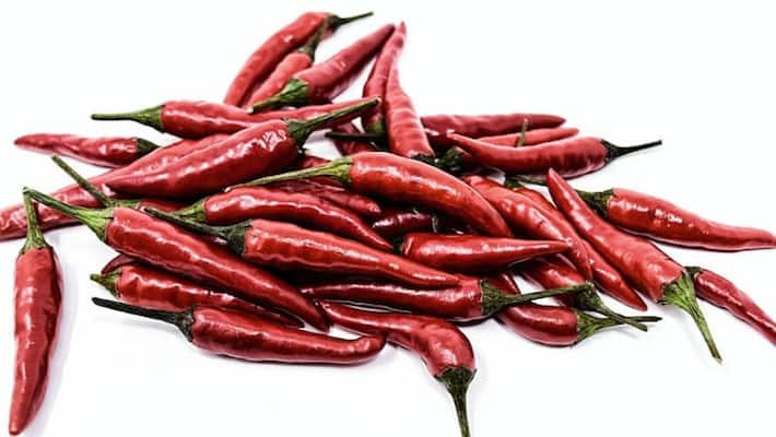 How to Grow Chillies at Home agriculture How to Grow Chillies at Home agriculture