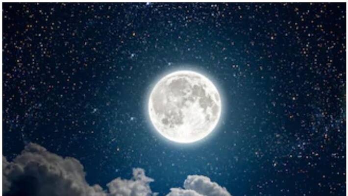 Cotton seeds sprout on the Moon Cotton seeds sprout on the Moon