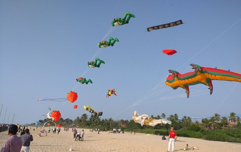 Panambur kite festival photo gallery