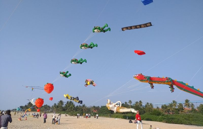 Panambur kite festival photo gallery