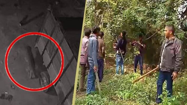 Residents of Kanaipur in Konnagar claim that a tiger has entered the area Residents of Kanaipur in Konnagar claim that a tiger has entered the area