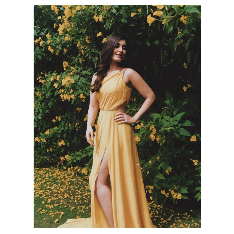 Heroine Raashi Khanna Stunning pics goes viral