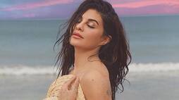 You may not have seen such bold and beautiful pictures of Jacqueline Fernandez first
