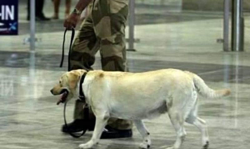 bomb in mangalore international airport photo gallery