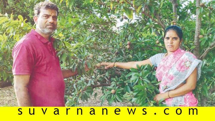 Ramadruga farmer easy plan for Tamarind and lemon plantation Ramadruga farmer easy plan for Tamarind and lemon plantation