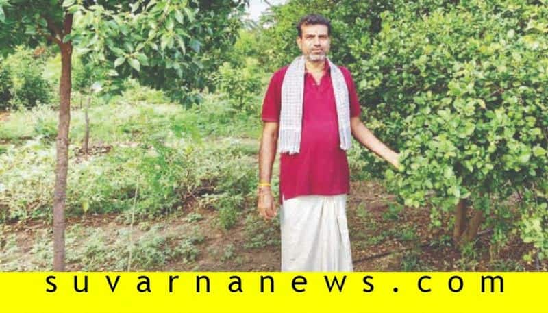 Ramadruga farmer easy plan for Tamarind and lemon plantation