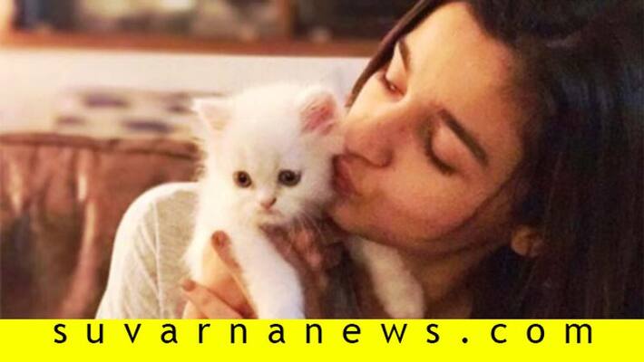 Bollywood alia bhat hurts her back selfie with her cat Bollywood alia bhat hurts her back selfie with her cat