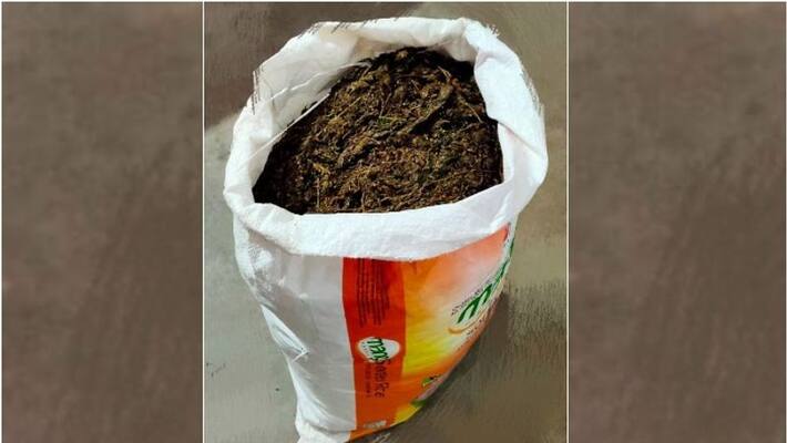 Case against three for Cannabis trafficking Case against three for Cannabis trafficking