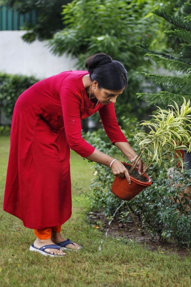 दिल्ली सीएम का घर काफी हरा-भरा नजर आता है उनकी पत्नी भी घरेलू कामों में व्यस्त रहती हैं।
